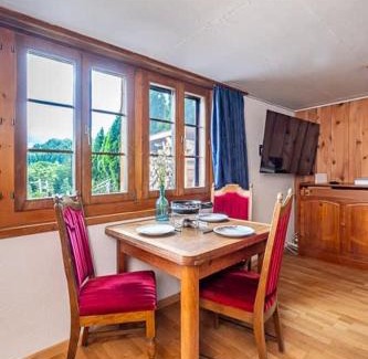 Reichenbach Casa | Cozy Studio With Terrace Bbq Mountain View