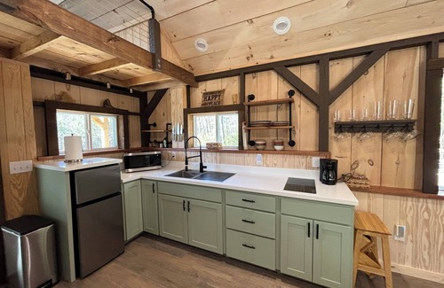 Brevard Cabina | Cozy tiny cabin with Loft 10 minutes from DuPont State Park