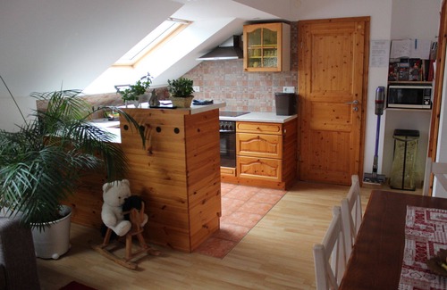 St. Blasien Apartamento | Acogedor apartamento para familias con parque infantil en el bosque, vacaciones con perro,