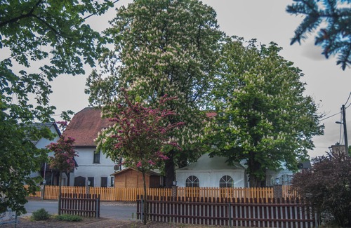 Grimma Apartamento | Cozy vacation apartment for the family in the Nobel Prize-winning village / Muldental