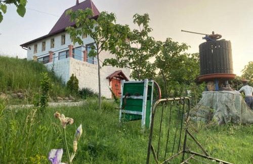 Moldova Hotel | Crama Diaconu