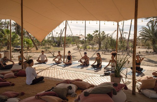 San José del Cabo Otro | Crania Reclaim