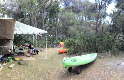 Crayfish Creek Complejo | Crayfish Creek Van & Cabin Park