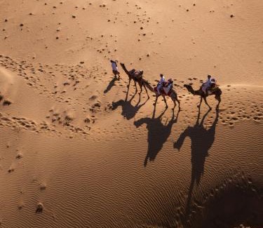 Amar Sagar Pol Casa | Crazy Camel Hotel & Safari