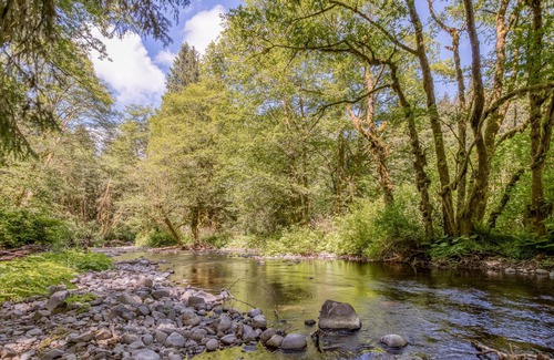 Neskowin Casa | Creek Haven