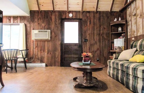 Montrose Cabina | Creekside Cabin Near Salt Springs Park!