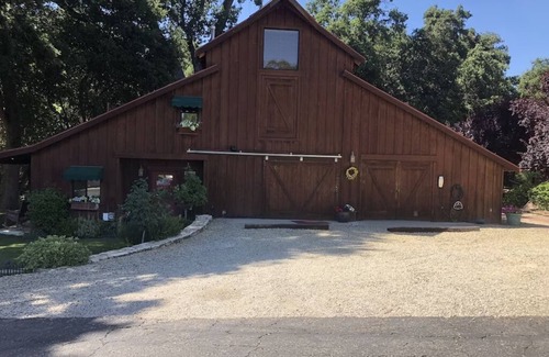 Paso Robles Apartamento | Acogedora cabaña en el viñedo