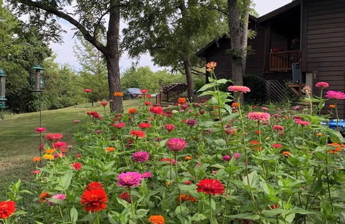 Drexel Cabina | CREEKSIDE ~ Lower Level/Separate Entrance, Peaceful Retreat, Trails & Fire Pit