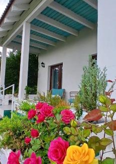Bran Casa | Cristelyn Residence