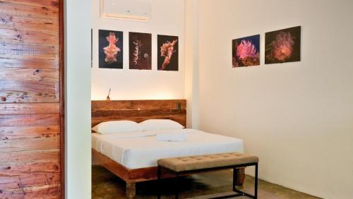 Dauin Hotel | Critter Republic Dive Resort