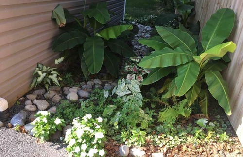 Lewes Apartamento | Crow's Nest - Private Guest Apt Near Bike Trail/3.7 mi to Beach