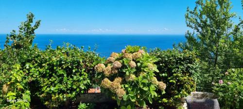 Mouresi Apartamento | Crystalias country house