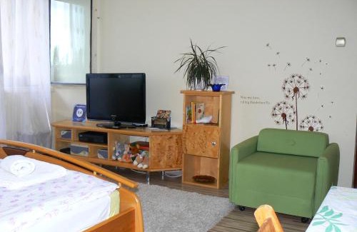 Sarvar Apartamento | Csiga Apartment