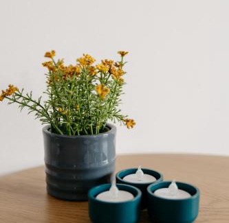 Veroce Casa | Csillagvirág Apartman