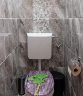 Erdohorvati Apartamento | Csobogó-patak Vendégház