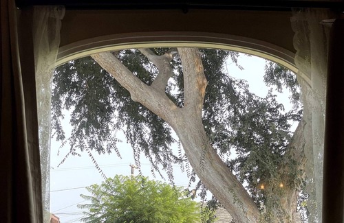 Ladera Heights Casa | Cubier: Fairy Tale 3BR House in Inglewood (BR-CUL)