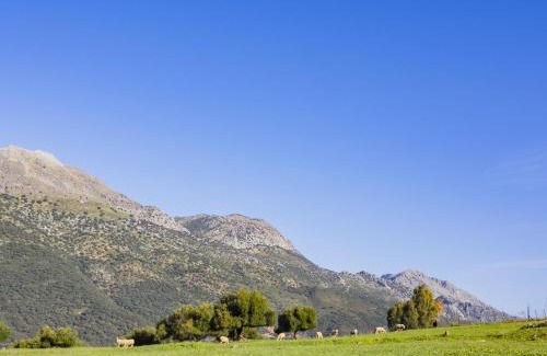 Jimera de Libar Casa | Cubo's Casa Rural Los Lirios & Albahaca del Libar