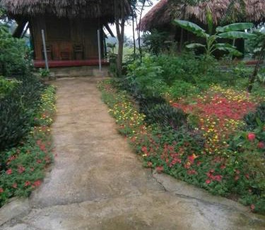 Nho Quan Hotel | Cuc Phuong Bungalow