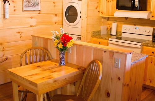 Candler Cabina | Abrazar y relajarse- Jacuzzi privado, chimenea, romántico, con vista, WiFi gratis, Se aceptan mascotas