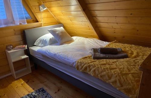 Roznow Casa | Cudowny Świat