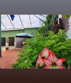 Pegalajar Apartamento | Cueva Rural El Sendero