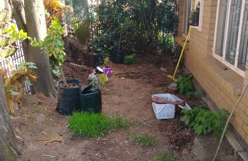Greater Johannesburg Metropolitan Area Casa | Cultural Experience in The Heart of Soweto