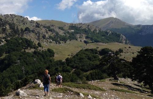 Viggianello Casa | "CUORE DEL POLLINO" Locazione turistica