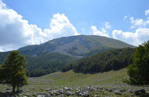 Viggianello Casa | "CUORE DEL POLLINO" Locazione turistica