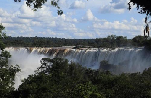 Puerto Iguazú Complejo | Curiango Bird Camp