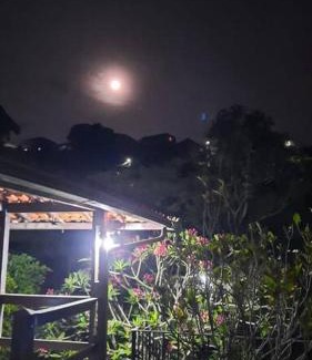 Miguel Pereira Casa | Curta a terra dos Dinos na casa verde