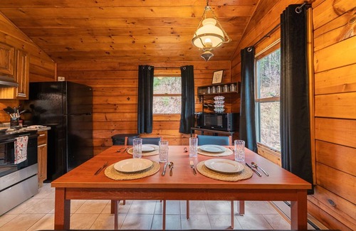 Mills Cabina | Custom Log Cabin #1 | Denton Hill State Park
