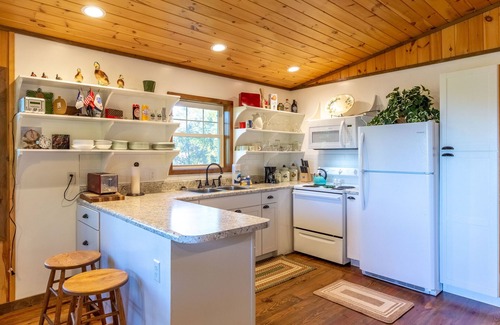 Cherokee Chalet De Esquí | ¡Hermosa vista de Clingmans View con jacuzzi y wifi!