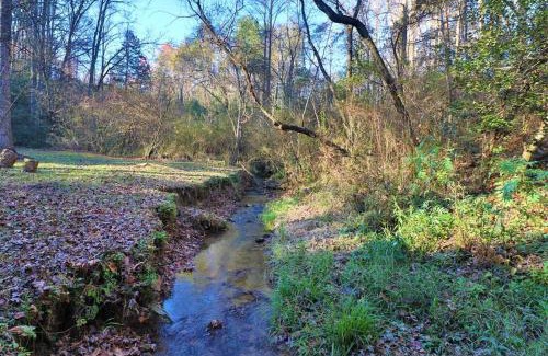 Helen Casa | Cute Cabin creek & Firepit #12