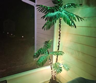 Tallahassee Apartamento | Cute Comfy Studio Prime Location