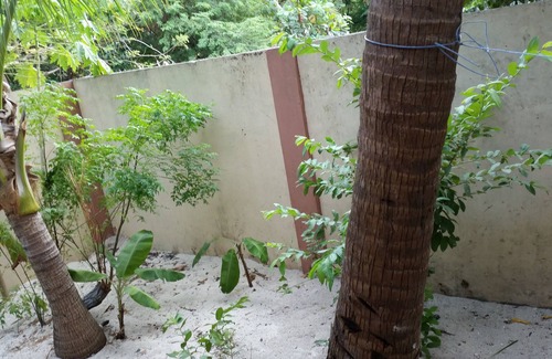 Roxas Cabaña | Kubo linda fresca, verde cerca de la playa
