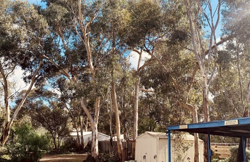 Kanmantoo Cabaña | Cute Cosy Cottages – Your Perfect Pet-Friendly Getaway in the Adelaide Hills