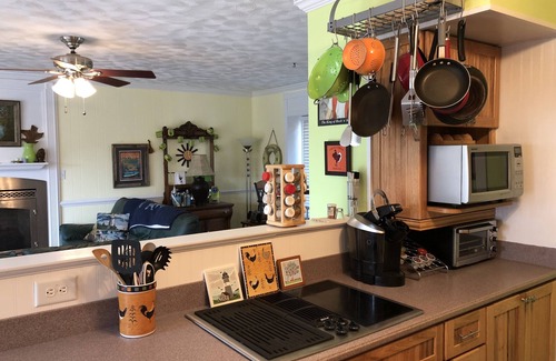 Bracey Casa | Cute & Cozy 3BR 2BA Lake Front House en Lake Gaston: acceso privado al agua.