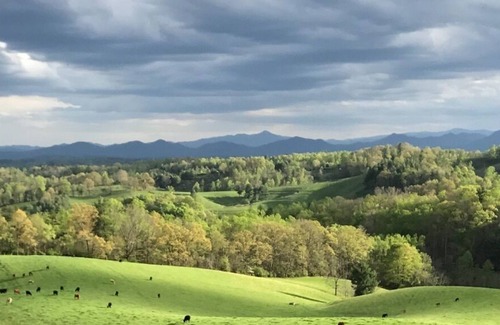 Marshall Casa | 🐶Cute Dog-Friendly Cottage w/Gazebo, Fire Pit, & Pond.+FREE Biltmore Pass🏰