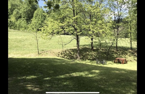 Topton Cabina | Cute little cabin (10 minutes from the Natahala River)