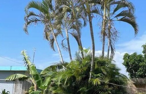Quemados Casa | Cute n Cozy Apartment Near the Beach!