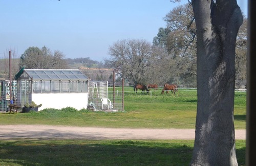 Creston Casa | Cute Ranch Home en Wine Country