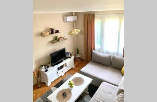 Podgorica Apartamento | Cute, spacious apt in the heart of the old town