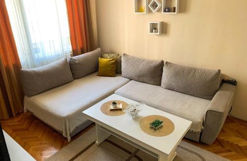 Podgorica Apartamento | Cute, spacious apt in the heart of the old town