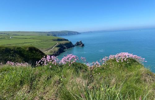 Cardigan Apartamento | Cwm Connell Coastal Cottages