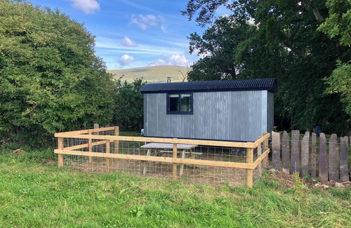 Bangor Cabina | Cwt Clyd-Shepherd’s Hut