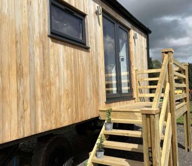 Llanelltyd Otro | Cwtch Cader Shepherds Hut