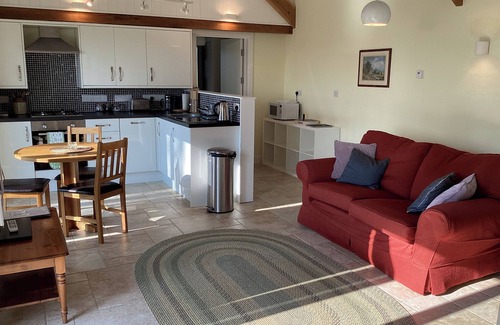 Tregaron Cabaña | CWTCH, pet friendly, character holiday cottage in Pontrhydfendigaid