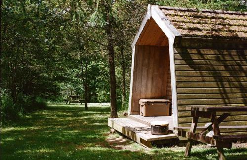 Milford Haven Otro | Cwtch Woodland Camp