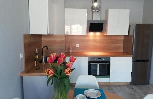 Wilda Apartamento | Czarnieckiego 2