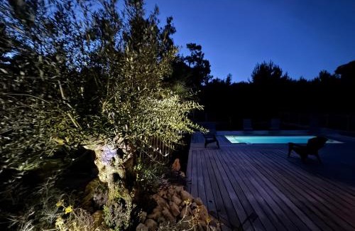 Soulac-sur-Mer Casa | Dépendance avec piscine et spa partagés - plage 130 m
